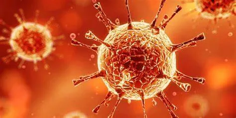 解析老挝恩西地平:价格优势下的谨慎抉择 解析老挝恩西地平:价格优势下的谨慎抉择