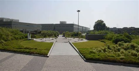 OIP-C.jpg