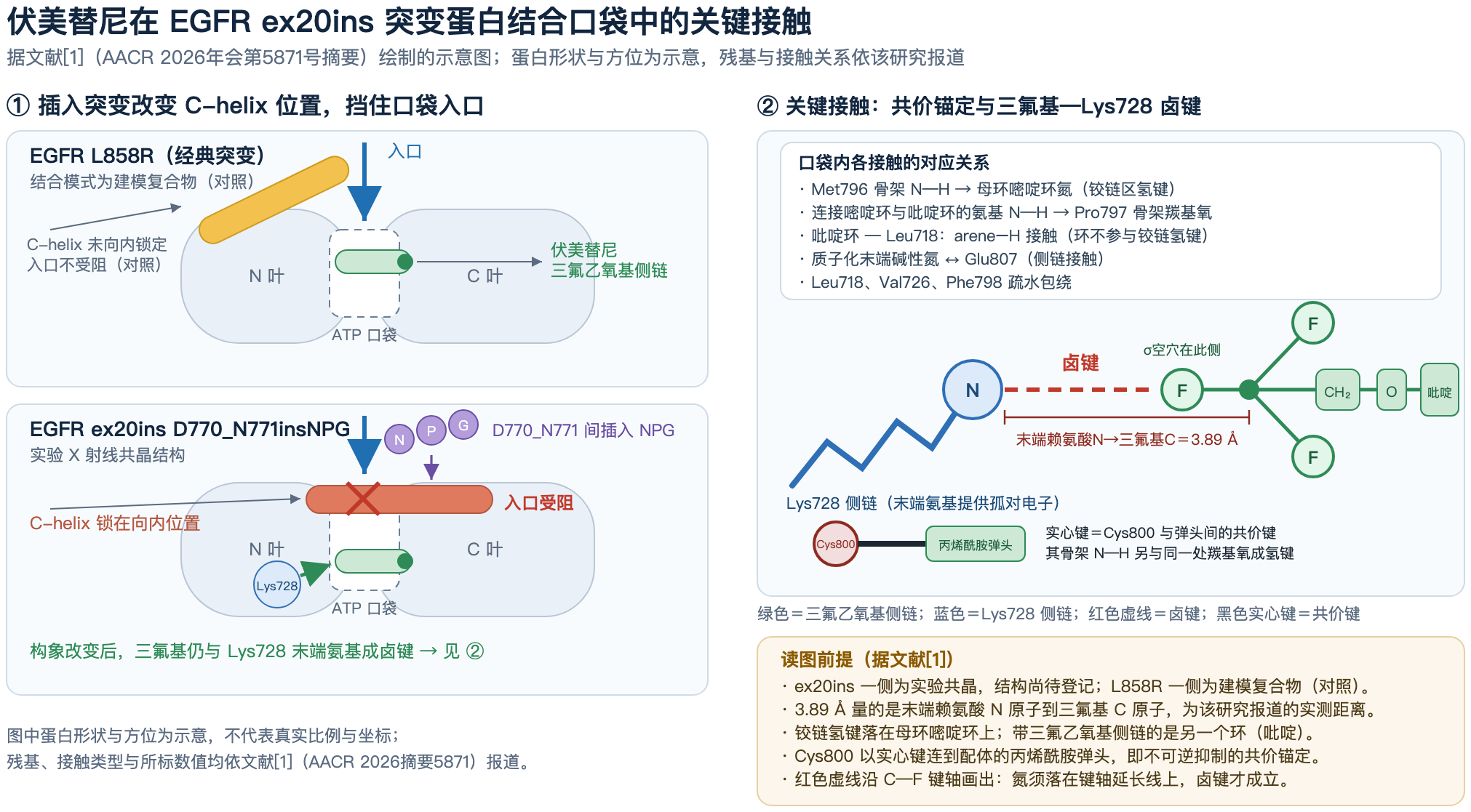 图片2 图片2
