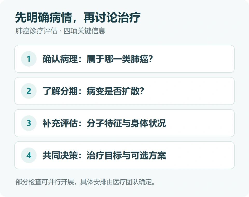 肺癌诊疗评估示意：病理类型、疾病分期、分子特征与身体状况共同影响治疗选择