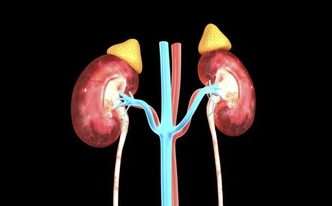 PD-1/PD-L1免疫疗法适用于哪些癌症？资料配图