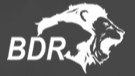 印度普拉卡什(BDR)制药公司标志