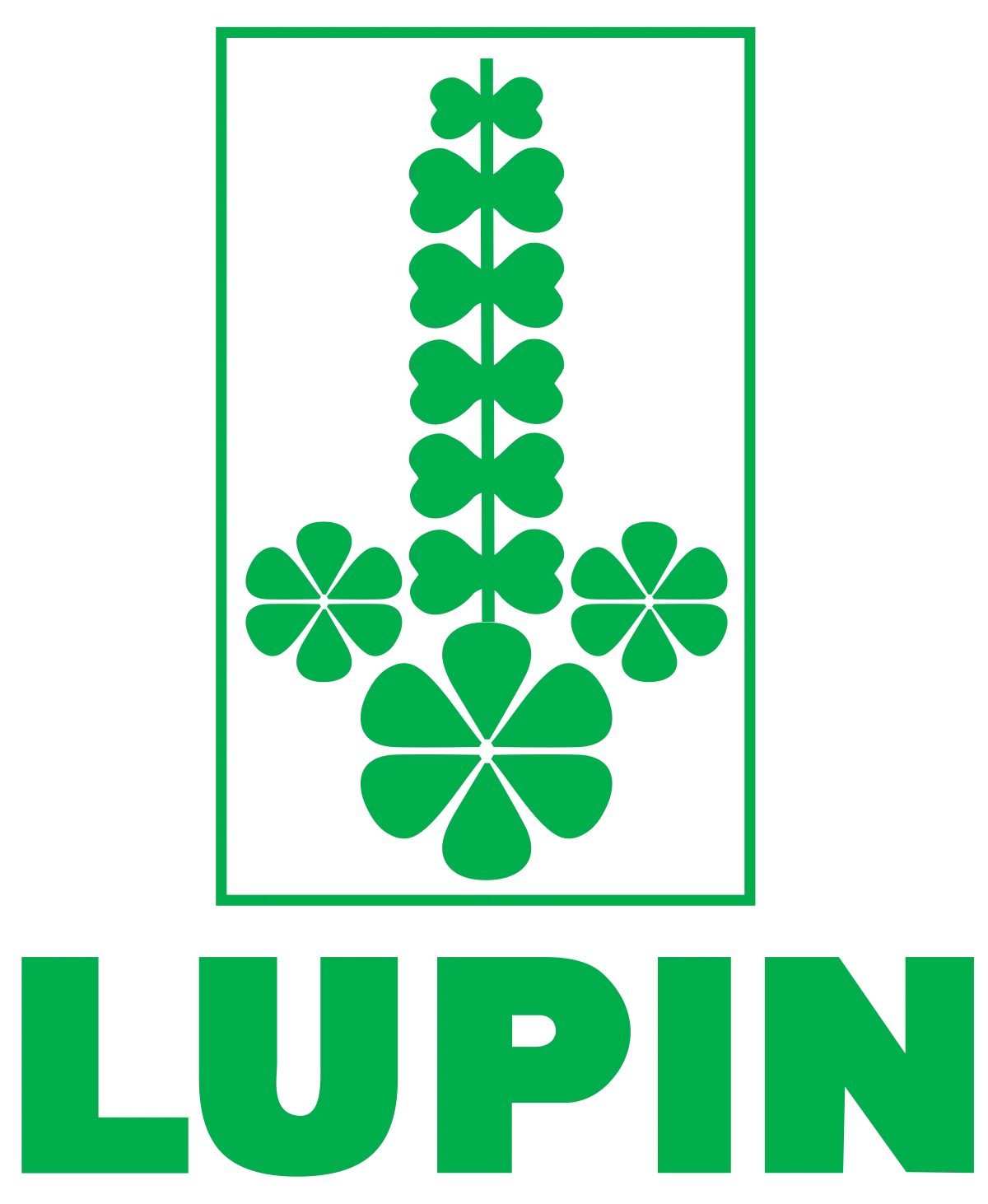 鲁宾有限公司(Lupin Limited)资料配图
