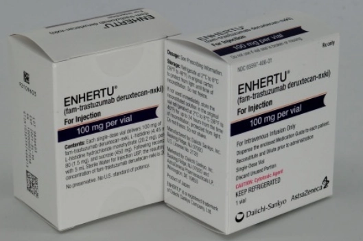 Enhertu如何靶向癌细胞的？与Xeloda治疗相比，谁生存率更高？