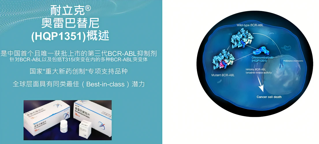 奥维伦巴替尼在耐TKI的CML和Ph+ ALL中显示出前景