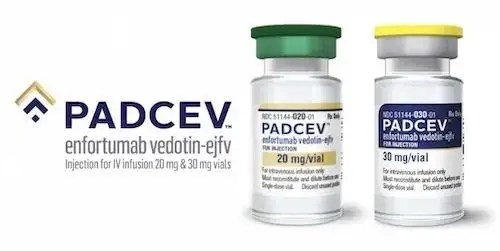 恩诺单抗Enfortumab Vedotin - 尿路上皮癌