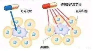 贝组替凡与卡博替尼:联合用药在癌症治疗中的新突破 贝组替凡与卡博替尼:联合用药在癌症治疗中的新突破